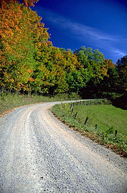 road.jpg
